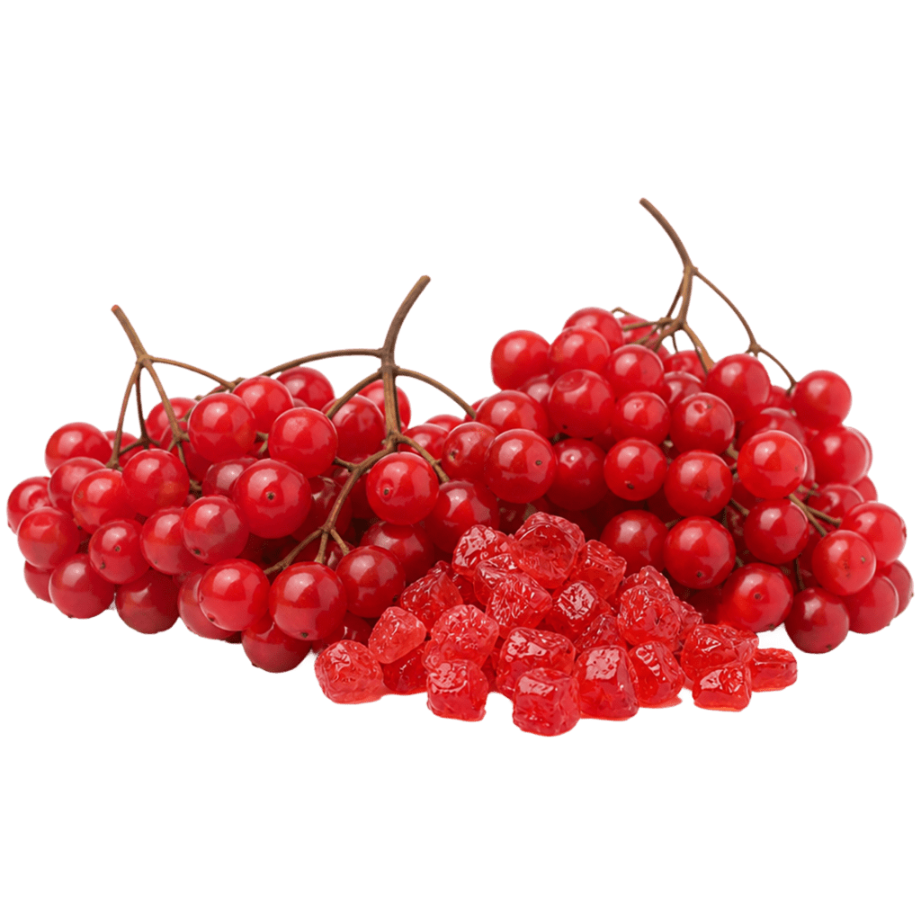 Калина засахаренная